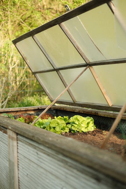 image about The Ultimate Guide to Raised Garden Beds with Lids