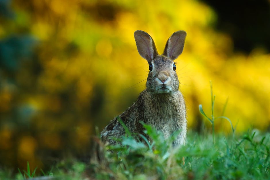 Do Rabbits Eat Basil? Understanding R - AIGardenPlanner