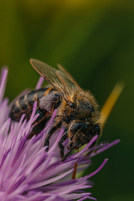 caption for Creating a Garden for the Endangered Rusty-Patched Bumblebee
