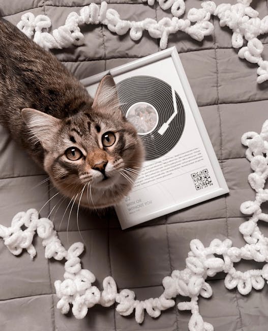 caption for Do Cats Like Bleach? Understanding Feline Behavior Towards Household Cleaners
