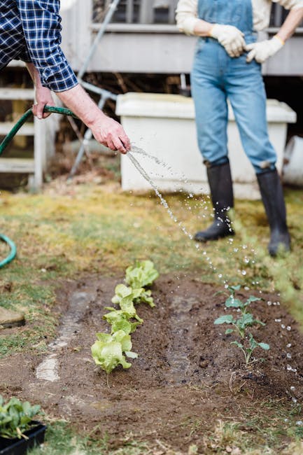 caption for How to Properly Remove a Garden Hose from a Spigot: A Step-by-Step Guide